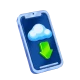 Crown Play App